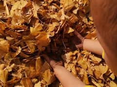 -百林公园-两江幸福广场