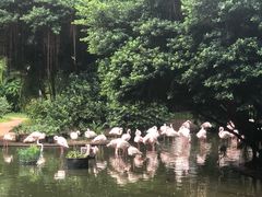 -九龙公园