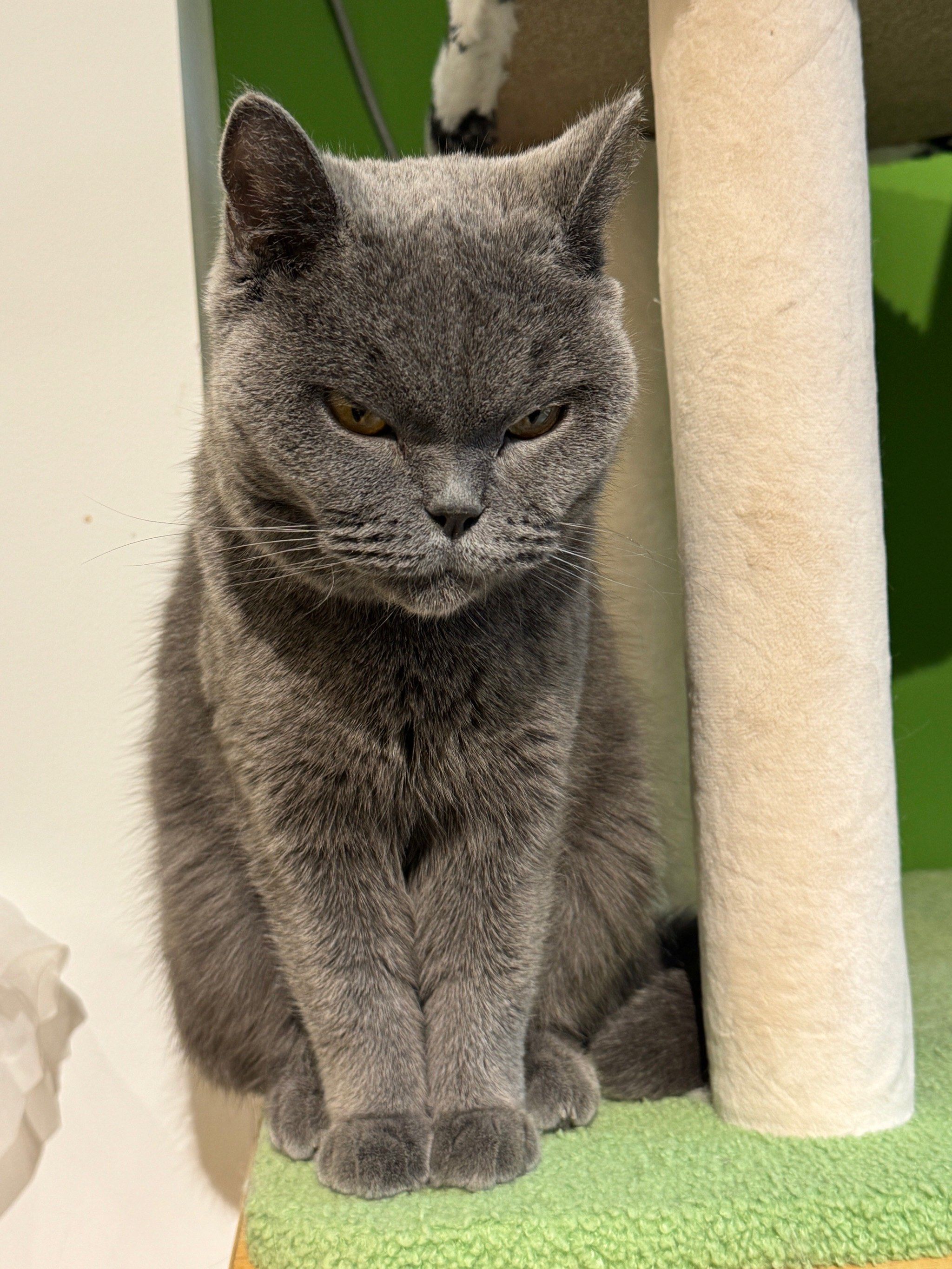 愤怒值正在上升ing