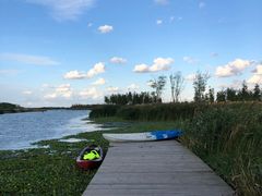 -春花秋色城市公园