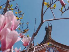 -晋江五店市传统文化旅游区