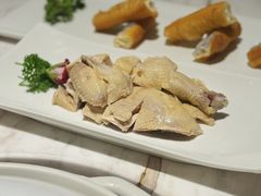 -汤城·料青山
