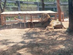 -昆明动物园