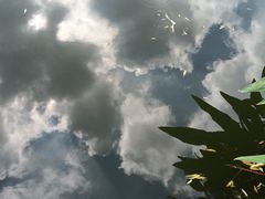 -新江湾城公园
