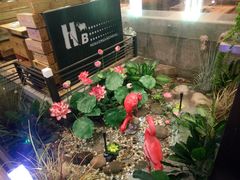 -河坝강뚝烧烤专门店(旗舰店)