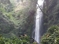 -莫里热带雨林景区