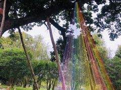 -福建鲤鱼洲酒店