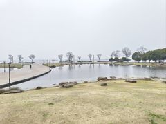 -滆湖低碳生态公园