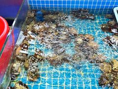 -陈小厨海鲜大咖·15年平潭味(龙王头店)
