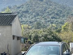 -树山生态村