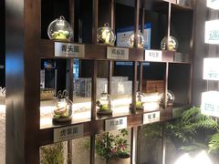 -芸山季·云南山珍菌火锅(人民广场来福士店)