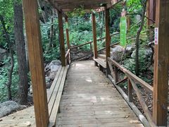 -大岭沟猕猴桃谷风景区