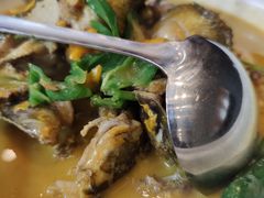-饭怕鱼(阳光100店)