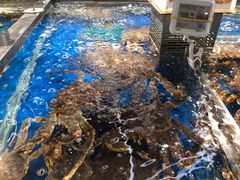 -盒马鲜生(莱蒙都会店)