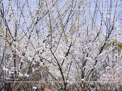 -蜀冈西峰生态公园