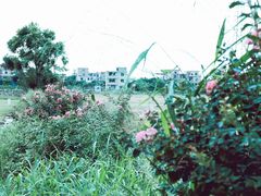 -低涌(地铁站)