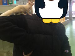 -藦茜花园宠物主题亲子互动体验馆(国顺东路店)