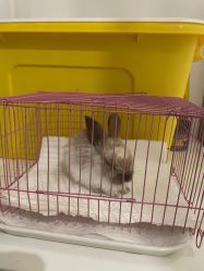 -萌宠亲子动物乐园(槐房万达店)