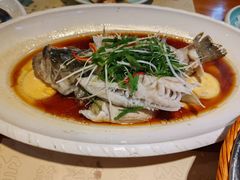 -寻味顺德·顺峰山庄(大良店)