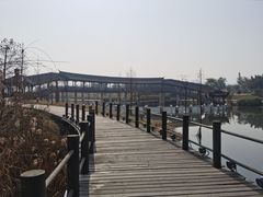 -眉山湿地公园(东坡区)