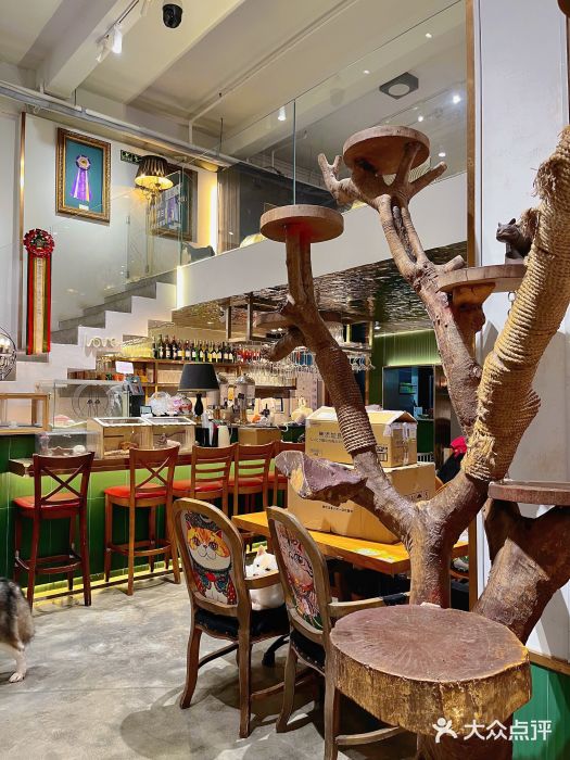 more than meow吴止猫主题餐厅(承德 中船汇店)图片