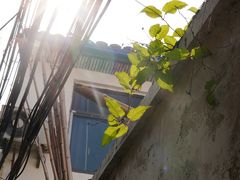 -东钱湖小普陀景区