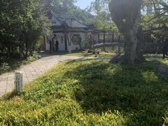 -江心屿景区