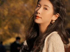 -三里屯东五街银杏大道