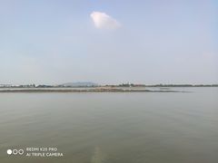 -八仔大富楼·河鲜(西江店)