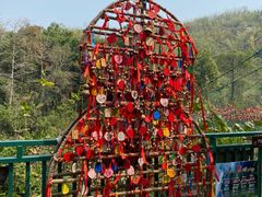 -西双版纳原始森林公园