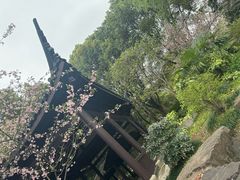 -范蠡湖公园