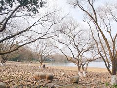 -茅家埠