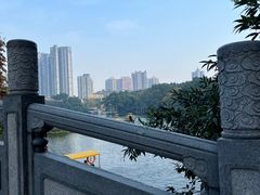-荔湾湖公园
