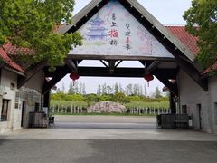 -上海海湾国家森林公园