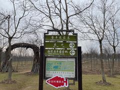 -上海海湾国家森林公园