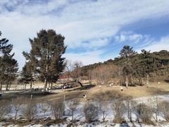 -沈阳森林动物园