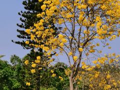 -华南国家植物园-售票处