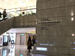 -随意鸟地方101观景餐厅