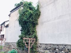 -八珍手工水饺·妈妈的爱(传芳巷店)