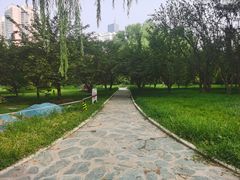 -莲花池公园
