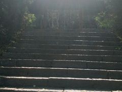 -野三坡百草畔景区