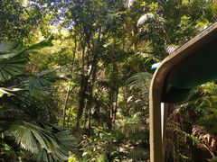 -热带雨林自然公园