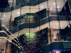 -广州白天鹅宾馆