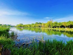 -Supine Bistro溯泮餐厅