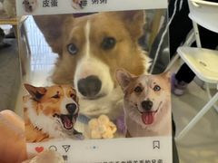 -平行世界·猫咖(首经贸店)