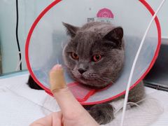 -宠颐生中康贝怡动物医院