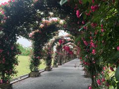 -广富林郊野公园