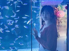 -海合安成都极地海洋公园