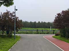 -望京辣宴·古法川菜(望京店)