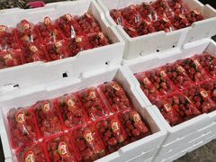-菜园坝水果市场